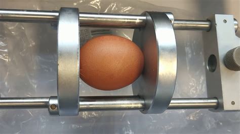 egg compression test|A new approach to analyze the dynamic strength of eggs.